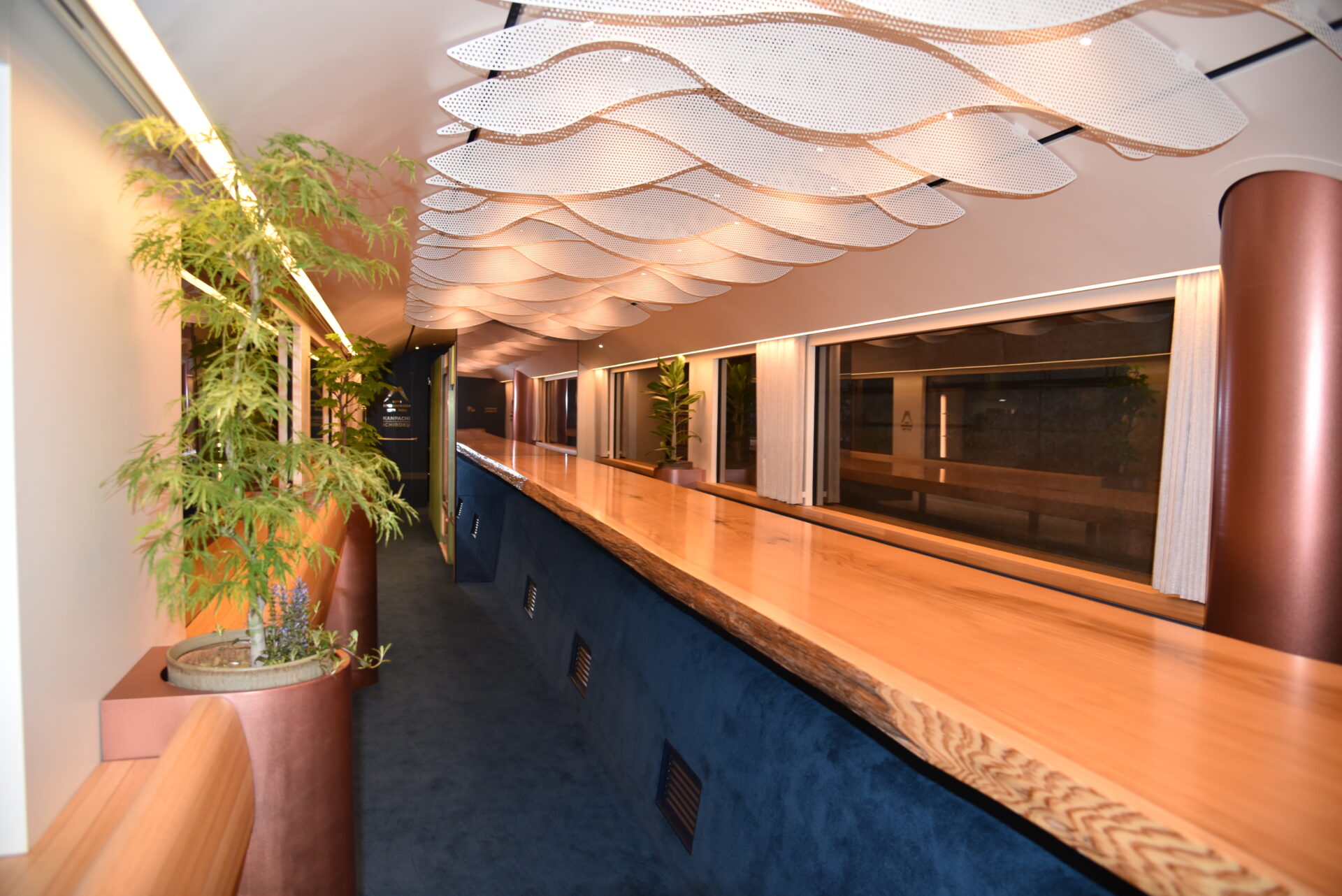 ２号車には樹齢約250年のご神木を使った杉の一枚板カウンターを設置